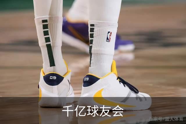 千亿球友会公司简介展示图